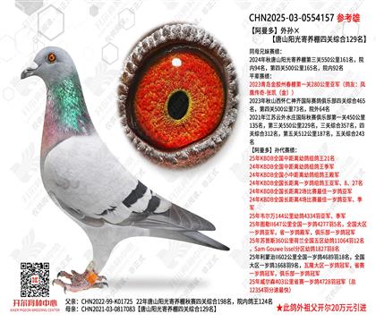 �������������ɽ����������Ĺ��ۺ�129��