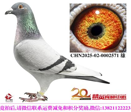 ��ѻ��ض�ֱ���䷲�ǲ��˸���ֱŮ