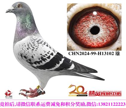 �������롰����������ֱ��