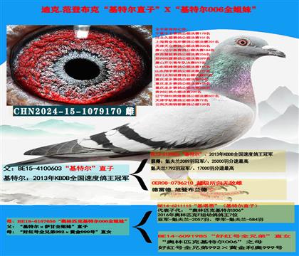 �Ͽ� ���ǲ��ˡ����ض���ֱ��X�����ض�006��ȫ����