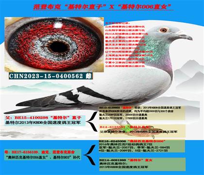 �Ͽ� ���ǲ��ˡ����ض���ֱ��X�����ض�006��ֱŮ