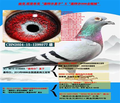 �Ͽ� ���ǲ��ˡ����ض���ֱ��X�����ض�006��ȫ����