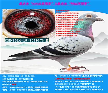 ���������� �Կ����ͣ�ɽ������ ɣ��ʿ����������ָ�