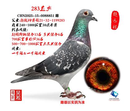 ���ᳬ��������283ֱŮ851