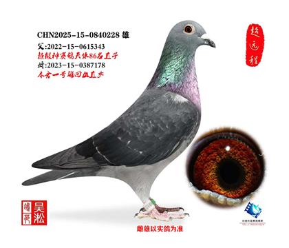 ����������򡱽���