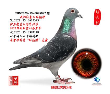 ���������һ���۽���