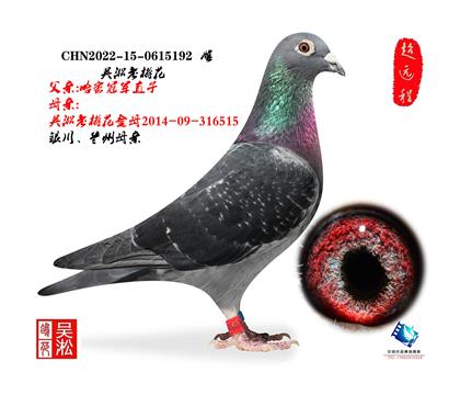 �������һ�����ȫ��ǰ���ִ�515ֱŮ