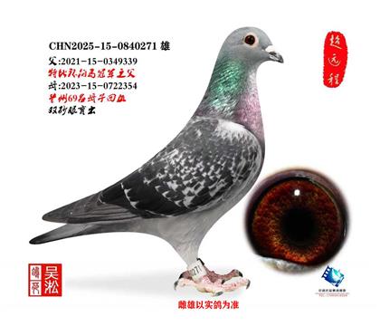 ����Բͷ���ϲ����ھ���������69��ĸ�ӻ�Ѫ