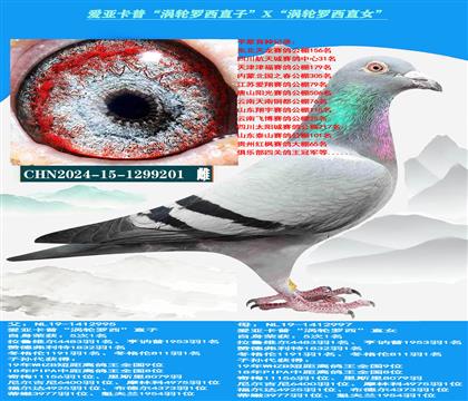 ���ص��Ƽ������ǿ��ա���������ֱ�ӡ�X����������ֱŮ��