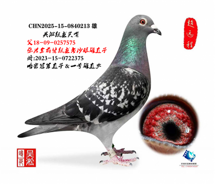 ����Ծ����Ծ����ʼ������ȫ575ֱ��