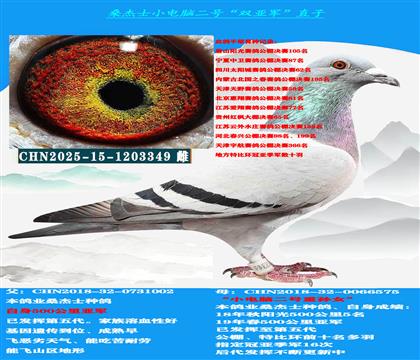 ��ɽ������ �Կ����ͣ� ɣ��ʿ˫�Ǿ����� ������ѡ