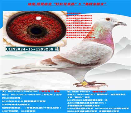 ���ص��Ƽ������ǲ��ˡ��ú�š������ָ�