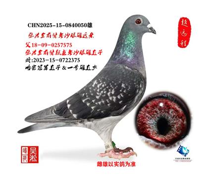 ����Ծ����Ծ����ʼ������ȫ575ֱ��050