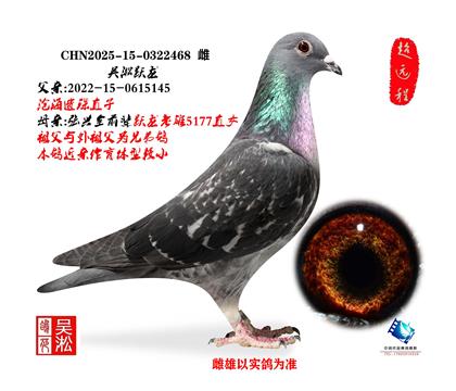 ����Ծ�����״�