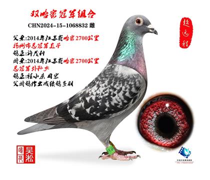 ˫����2700����ھ����