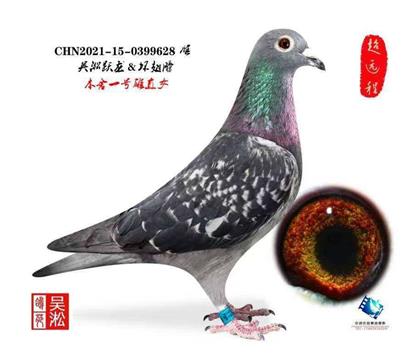 ��أ�����Ծ��һ������������