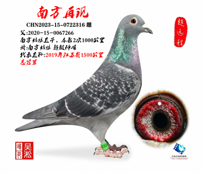 ��أ��Ϸ�����ֱŮ