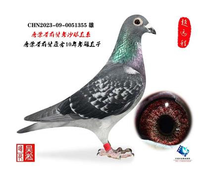 ��أ�������ʦ��ԭ��10������ֱ��