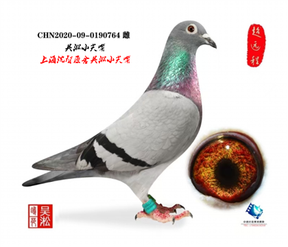 ���͸� ÿ����߼�