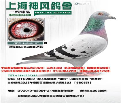 ����������53��x�Ϸ�21�����003