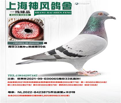 �Ϸ�33��ֱ��x������99��