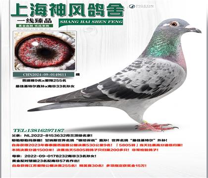 ��ѻ��ض�������9��x�Ϸ�33��Ů������255��