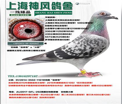 ����˹�����ھ��������Ӵ�