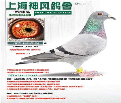 ����˹���롰̫ƽ��ֱŮ