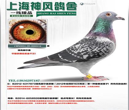 ǧ�򽱽���˺ն����ƽ��