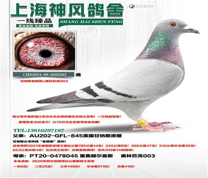 ����˹����ǣ�����������Ǿ�ƽ��