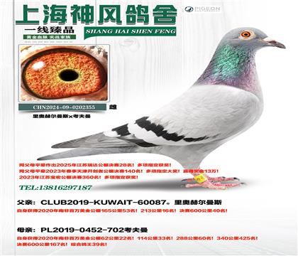 �Ϸǰ�������40��x����39��