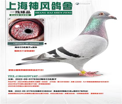 �Ϸ�33��ֱ��x�Ϸ�33����Ů