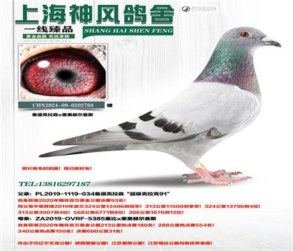 �Ϸǰ�������93��x31��