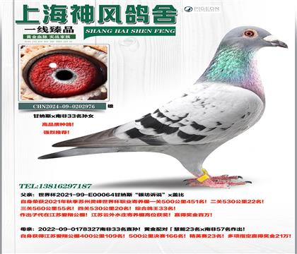 ���33��x�Ϸ�33����Ů