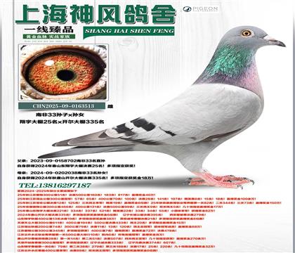 �Ϸ�33������25��x����335�����Ϸ�33��Ů��