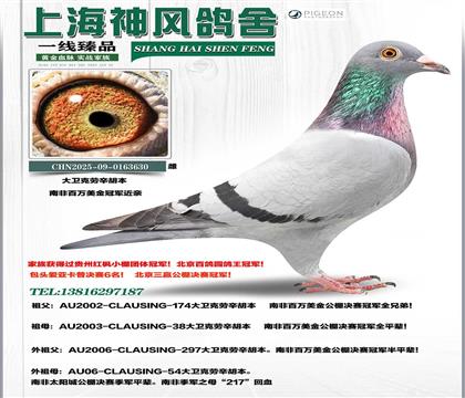 ������������������