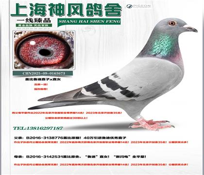 �Ǳ�³��ֱ��xֱŮ��������ȫƽ����