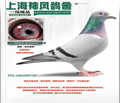 ǧ�򽱽��ٶ�������