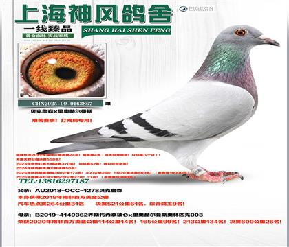 �ϷǸ���9��x�Ϸ�26��