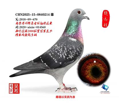 �������Դ2000������Ů