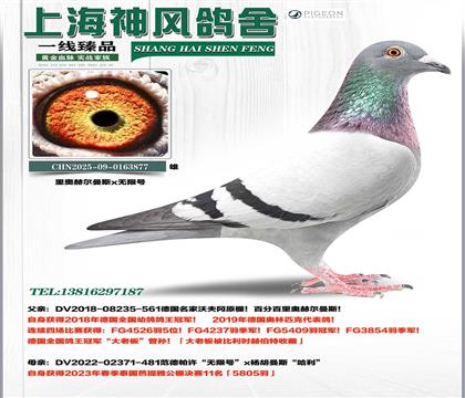 �¹�ȫ�������ھ�x���޺Ű�����11��