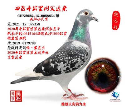 ����С���죺�ķ�ǧ����ͬ��