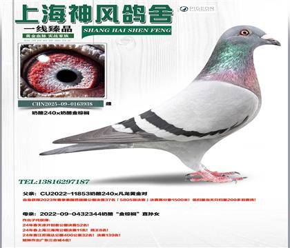 ���Ұ�����37��x���ҽ����