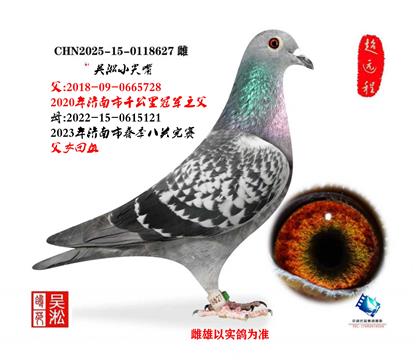 ����С����728��ѪֱŮ