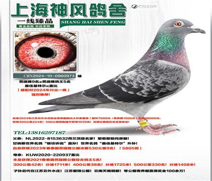 ��ѻ��ض�������9��x�����Ÿ���5��