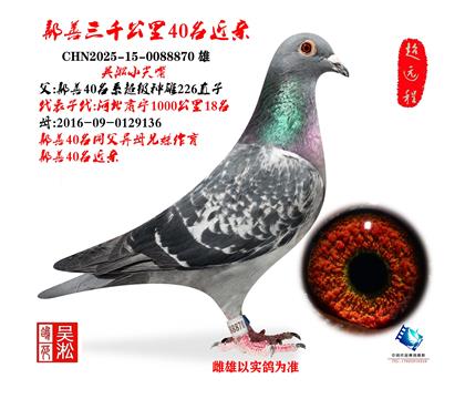 ����С����۷��3000����40����Ѫ