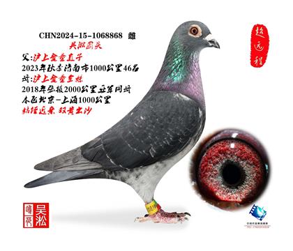 ����Բͷ������򡱽��״�