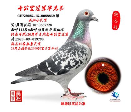 ����С���죺ǧ����ھ�ͬ��