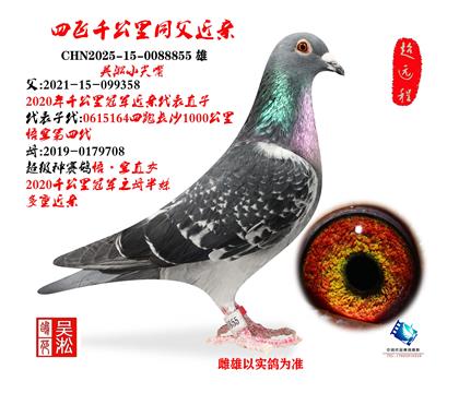 ����С���죺�ķ�ǧ����ͬ��855