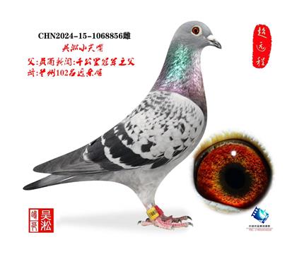 ����С����ǧ����ھ�ͬ��